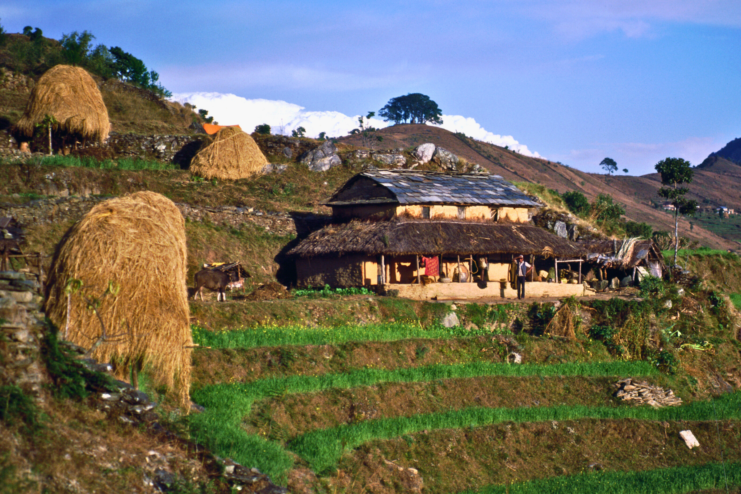 sarangkot (nepal) (2).webp